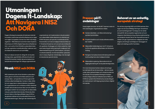 NIS2_DORA_Whitepaper_Swedish