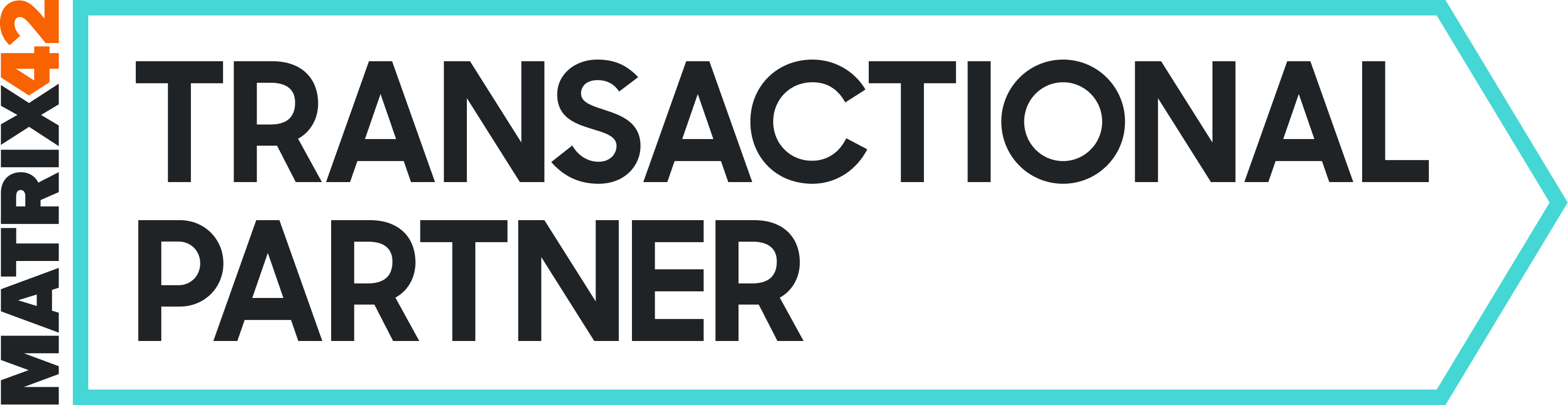 Transactional Partner Outline-1