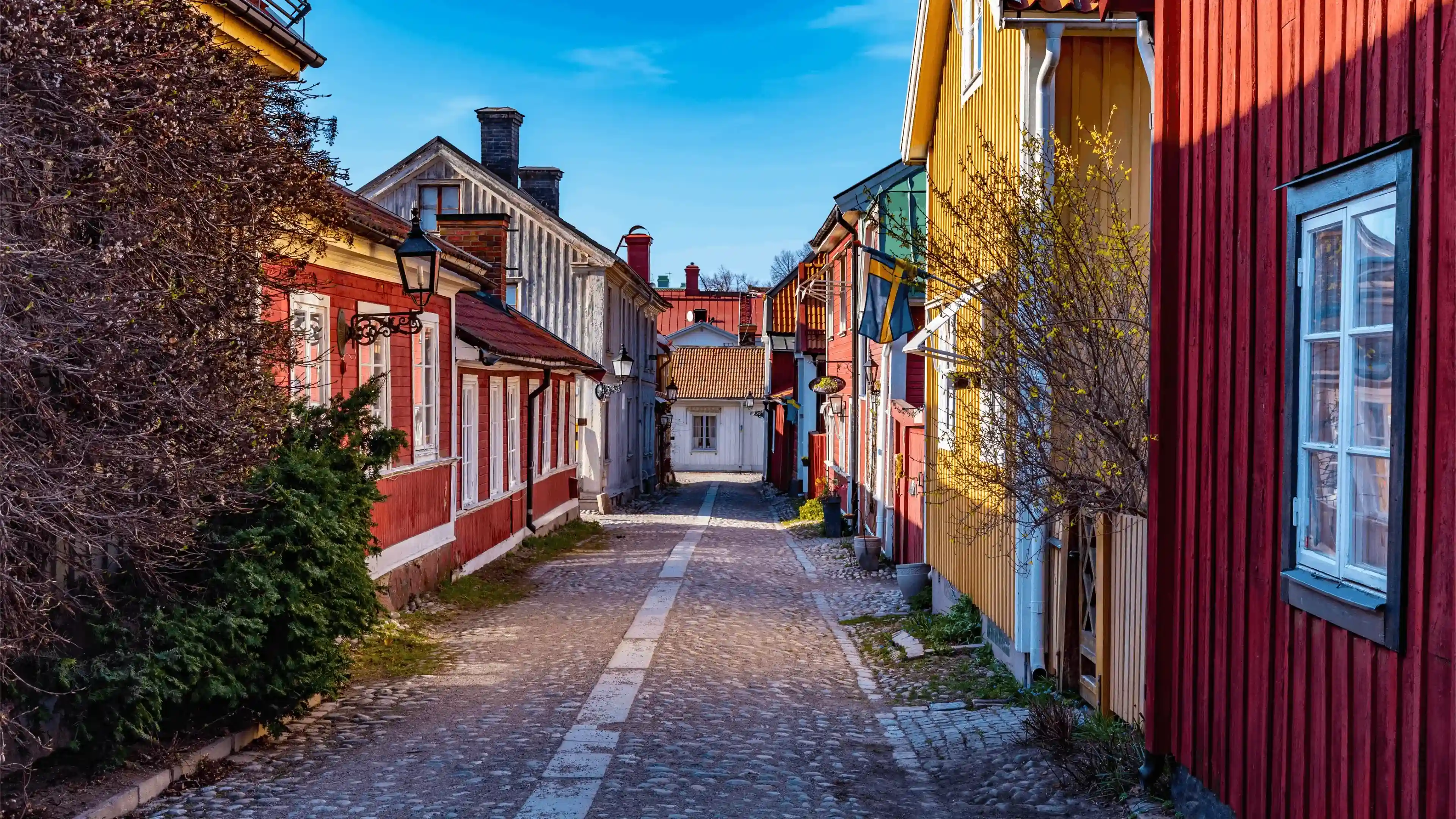 Kullerstensgata kantad av färgglada träbyggnader. Traditionella hus med målade fasader, fönster och små träd ligger längs den smala gatan under en klar blå himmel.