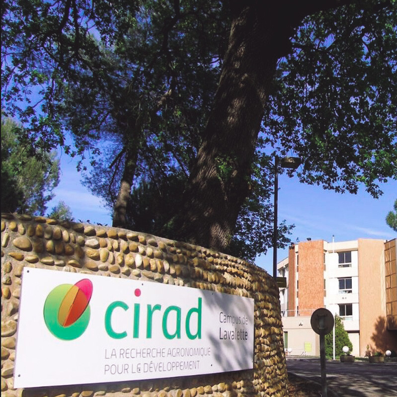 Entrance sign of CIRAD’s Lavalette campus in front of a stone wall, with trees and a building in the background, under a clear blue sky
